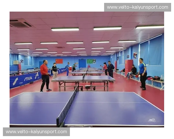 乒乓球入口：激发运动激情，迎接全新挑战